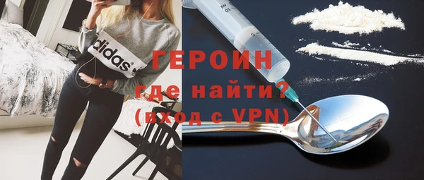шишки Няндома