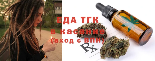 хмурый Осинники