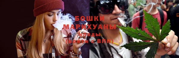 шишки Няндома