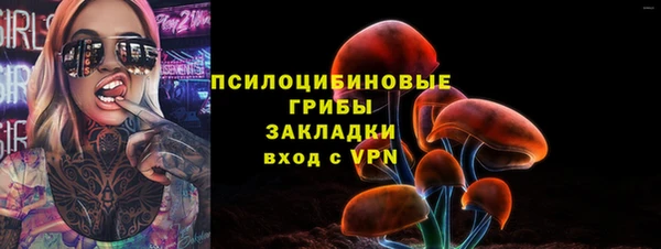 шишки Няндома