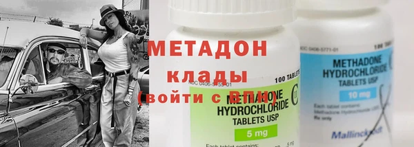 шишки Няндома