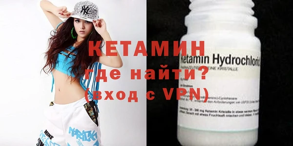 шишки Няндома