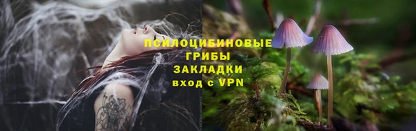 хмурый Осинники