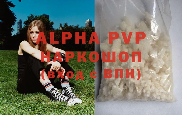 хмурый Осинники