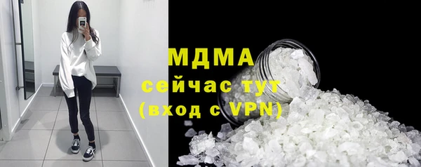 шишки Няндома