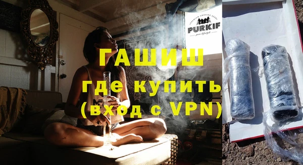 шишки Няндома