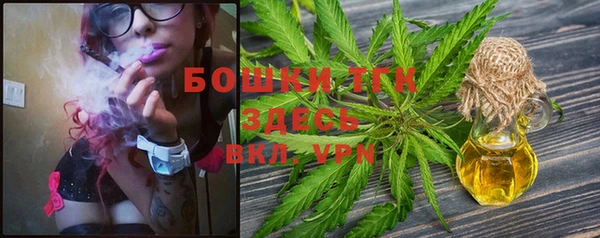 шишки Няндома