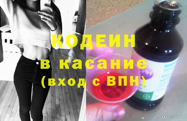 шишки Няндома