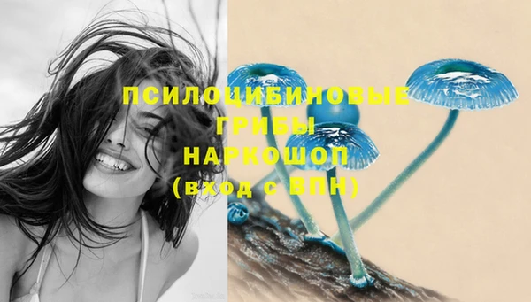 jwh Нязепетровск