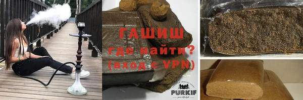 шишки Няндома