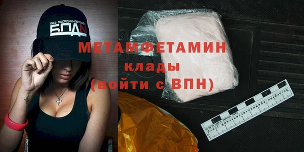шишки Няндома