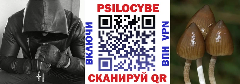 где найти   Минусинск  Галлюциногенные грибы MAGIC MUSHROOMS 