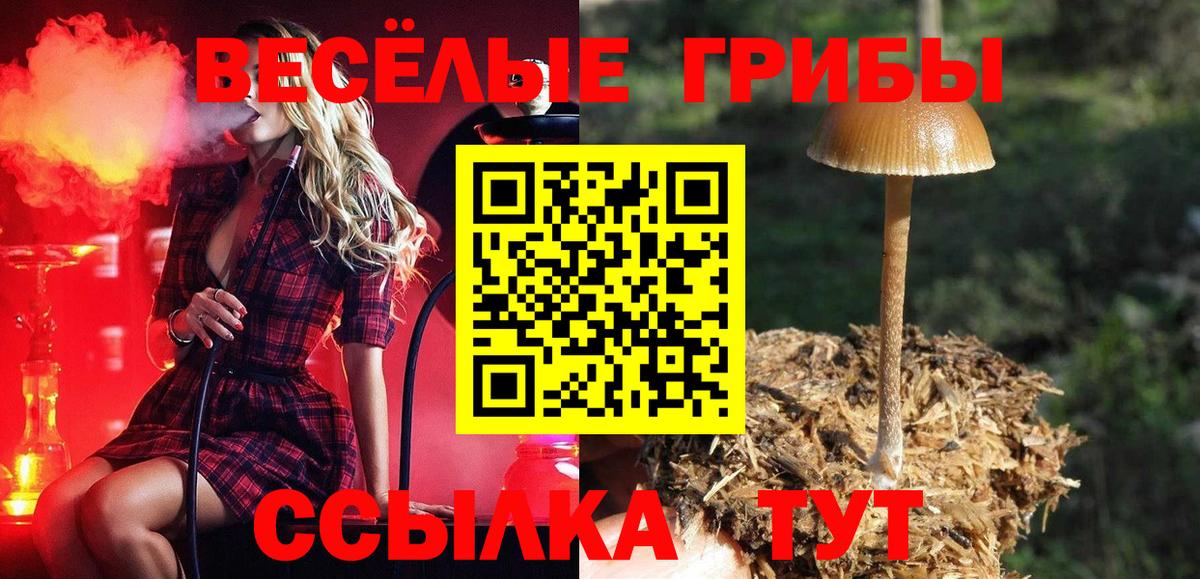 Минусинск  Галлюциногенные грибы Psilocybine cubensis  Вход с VPN 