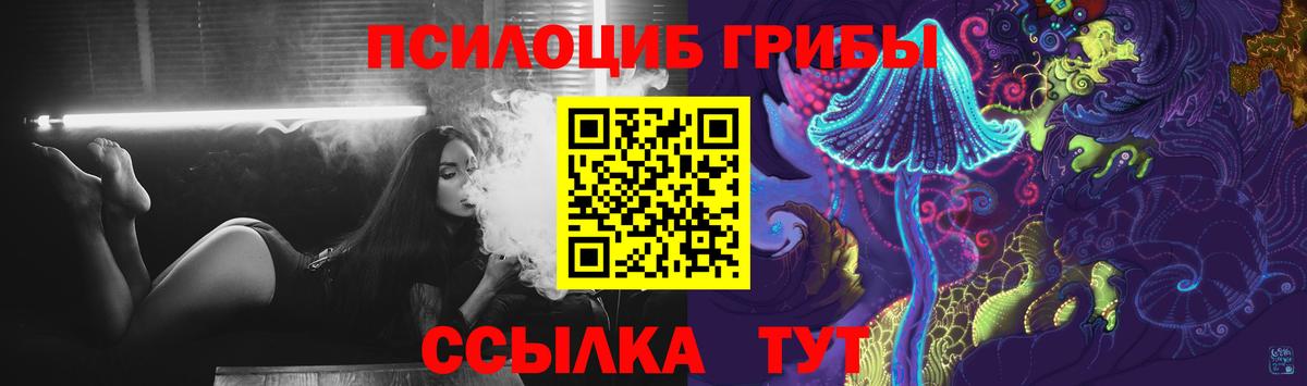 Псилоцибиновые грибы Psilocybe Минусинск